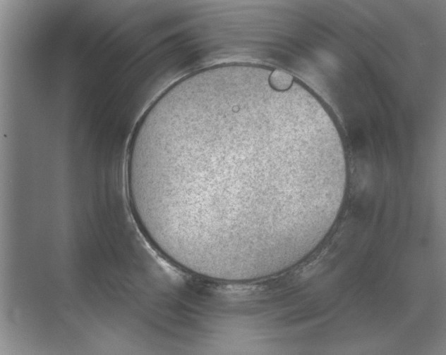 X0000068831290200605191849