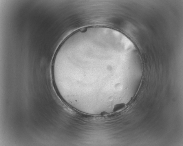 X0000068831291200605191849