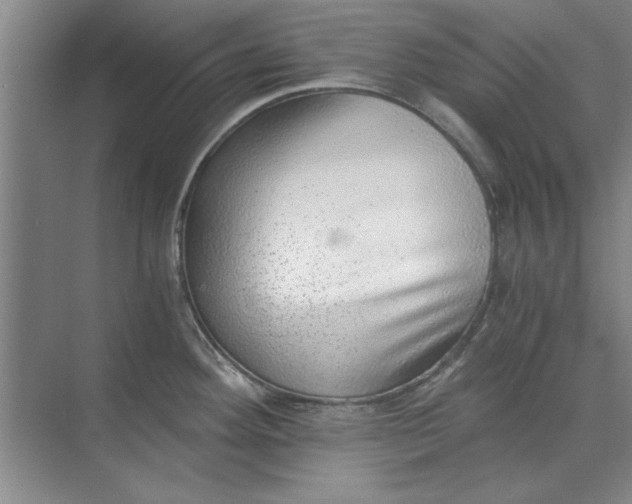 X0000068831292200605191849