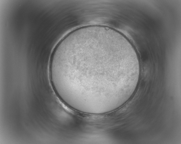 X0000068831294200605191849