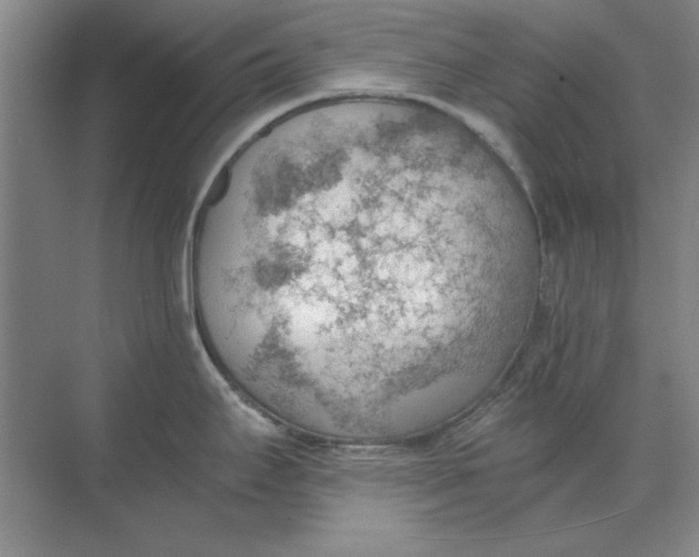 X0000068831295200605191849