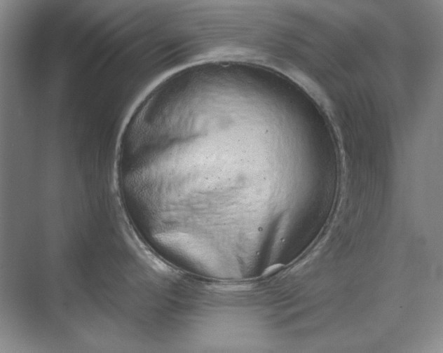 X0000068831296200605191849