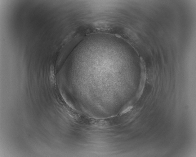 X0000068831298200605191848