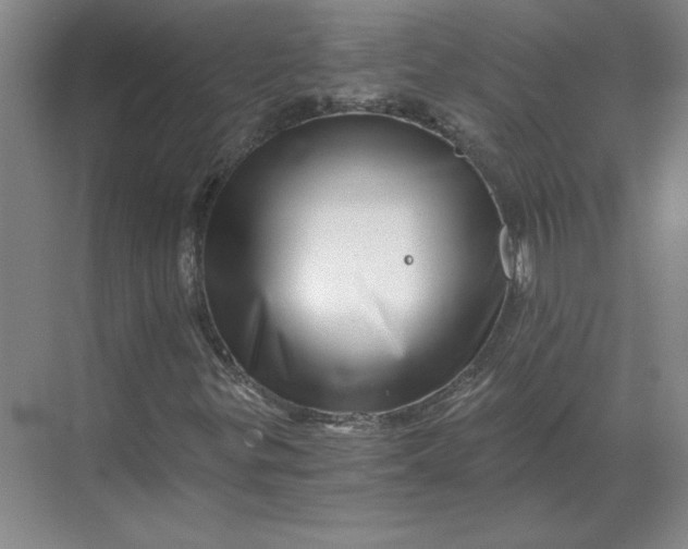 X0000068831299200605191848