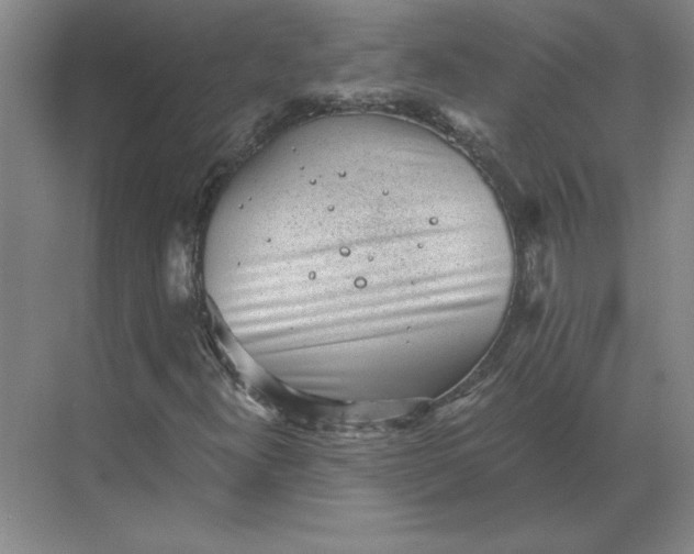 X0000068831300200605191848