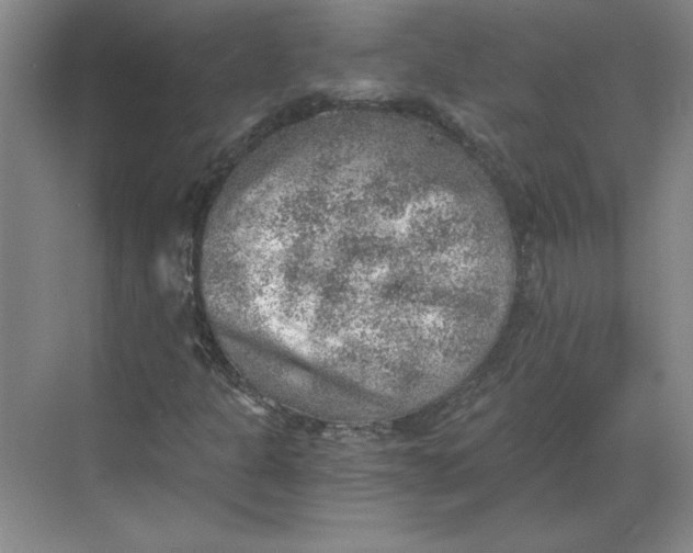 X0000068831301200605191848