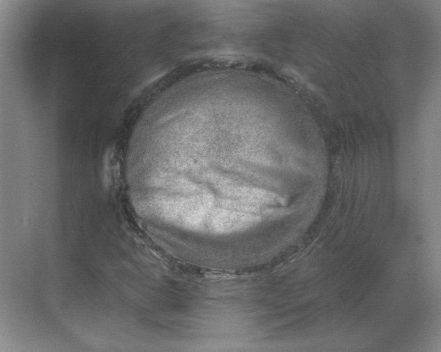 X0000068831302200605191848