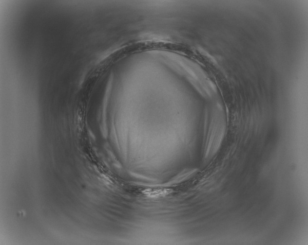 X0000068831303200605191848