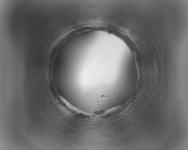 X0000068831304200605191848