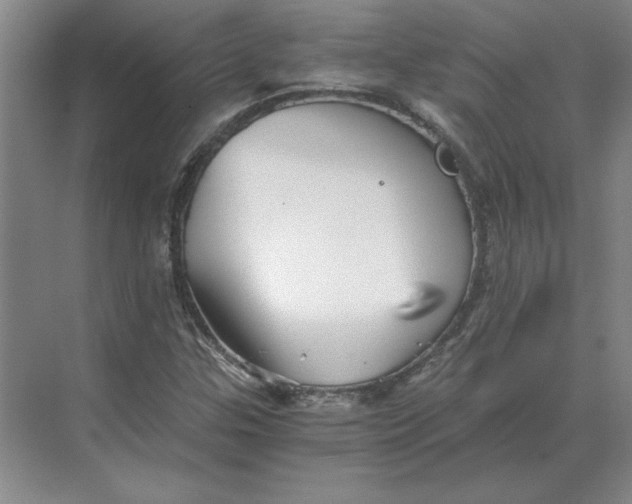 X0000068831307200605191848