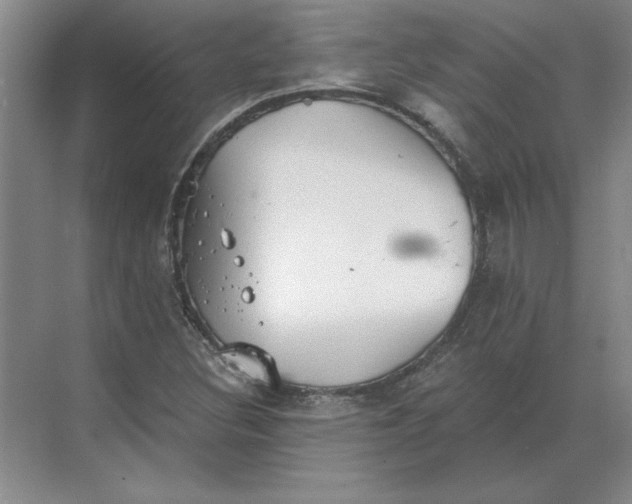 X0000068831308200605191848