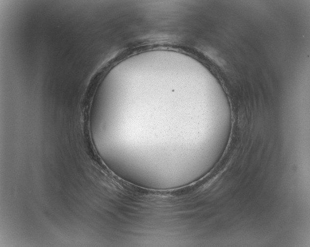 X0000068831309200605191848