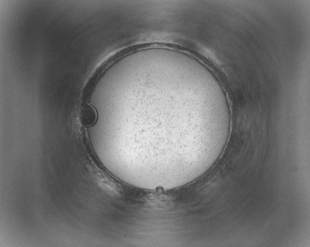 X0000068831312200605191849