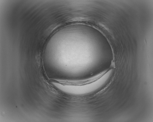 X0000068831313200605191849