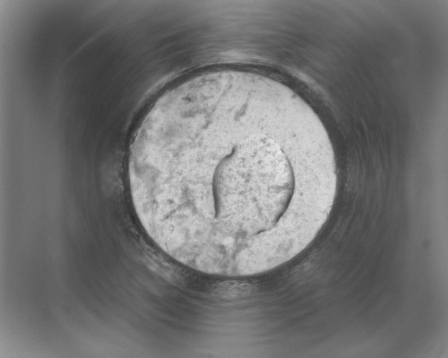 X0000068831314200605191849