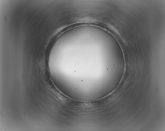 X0000068831315200605191849