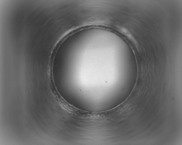 X0000068831316200605191849