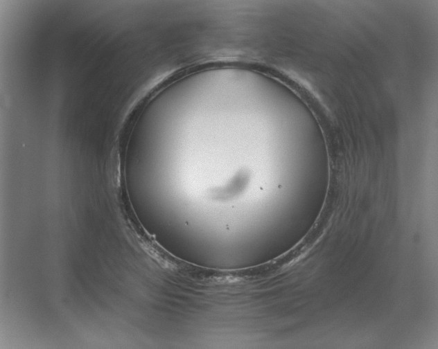 X0000068831317200605191849