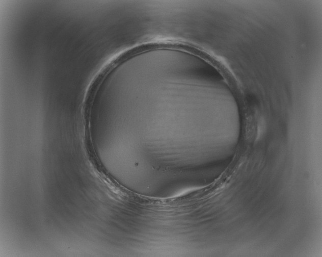 X0000068831319200605191849