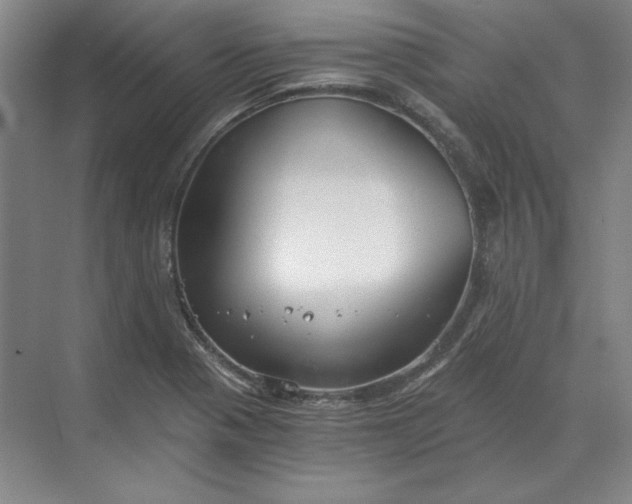 X0000068831321200605191849