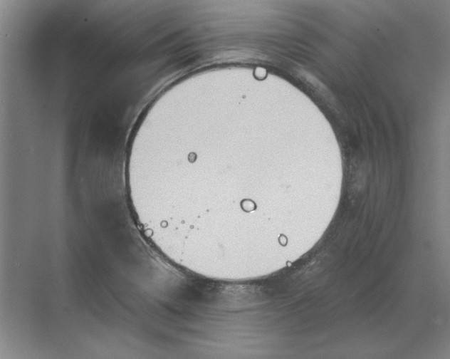 X0000068831322200605191849