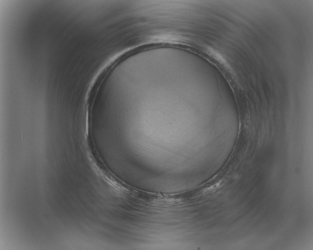 X0000068831323200605191849