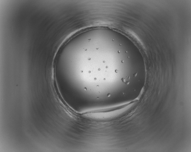 X0000068831324200605191849