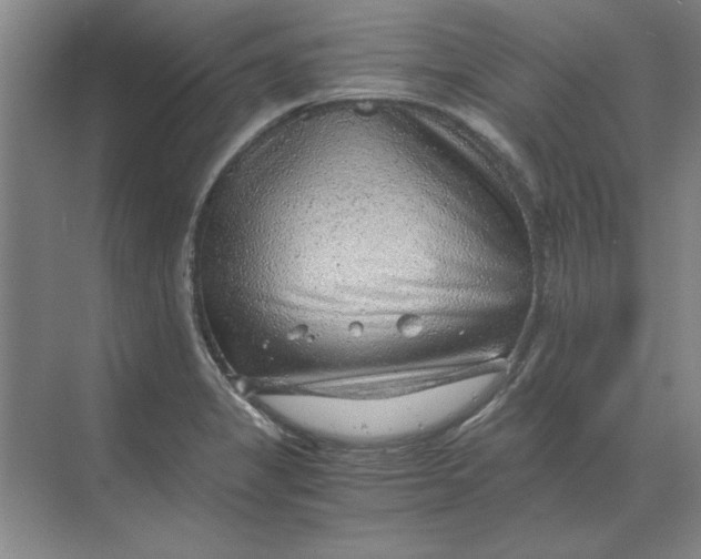 X0000068831325200605191849