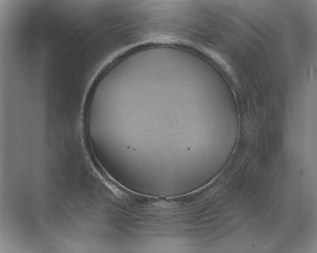 X0000068831327200605191849