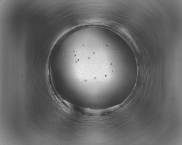 X0000068831328200605191849