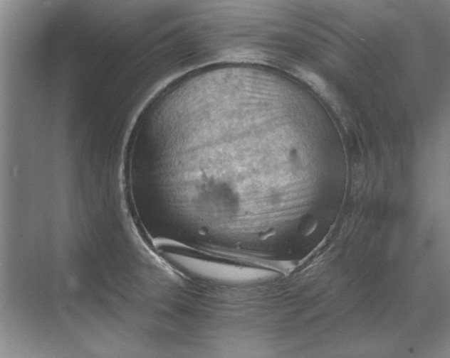 X0000068831331200605191849