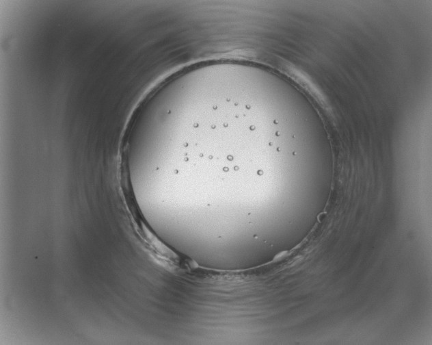 X0000068831332200605191849