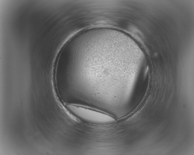 X0000068831333200605191849