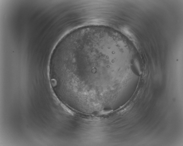 X0000068831334200605191849