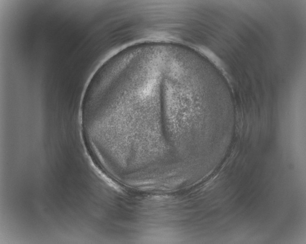 X0000068831335200605191849