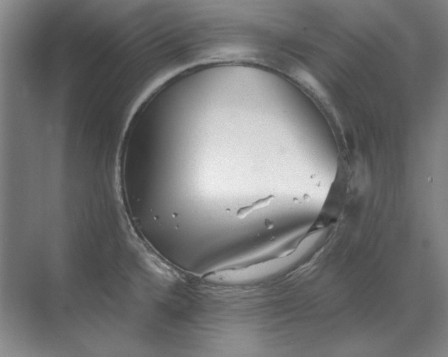 X0000068831336200605191849