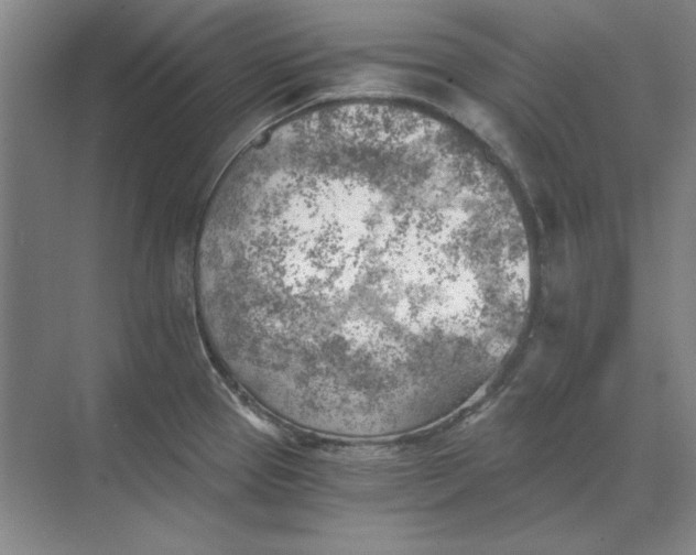 X0000068831337200605191849