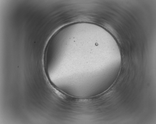 X0000068831339200605191849