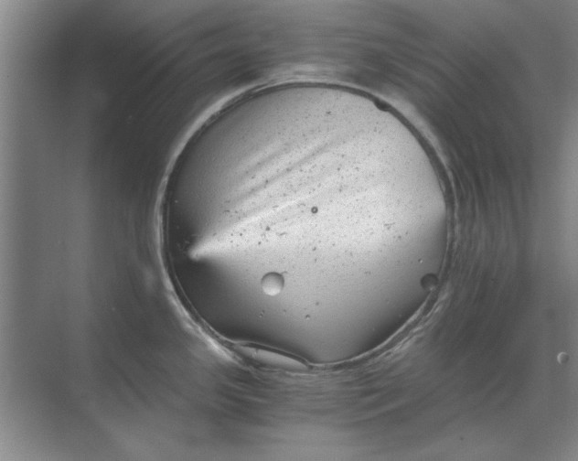 X0000068831341200605191849