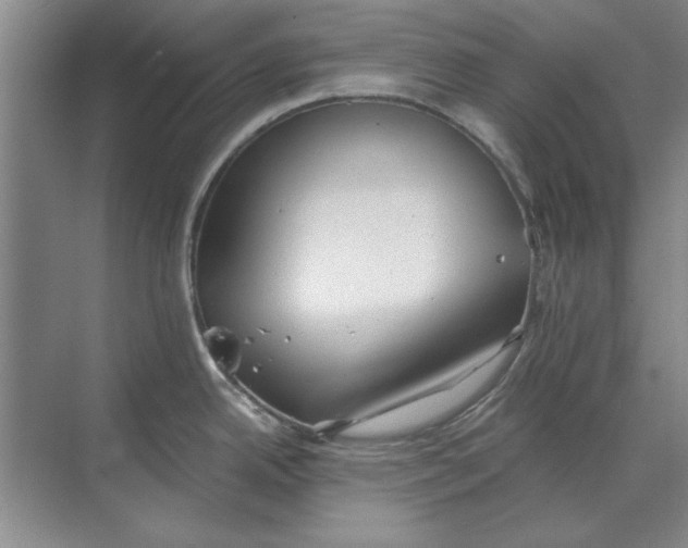 X0000068831342200605191849