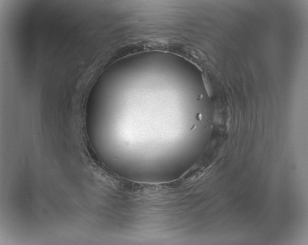 X0000068831345200605191848