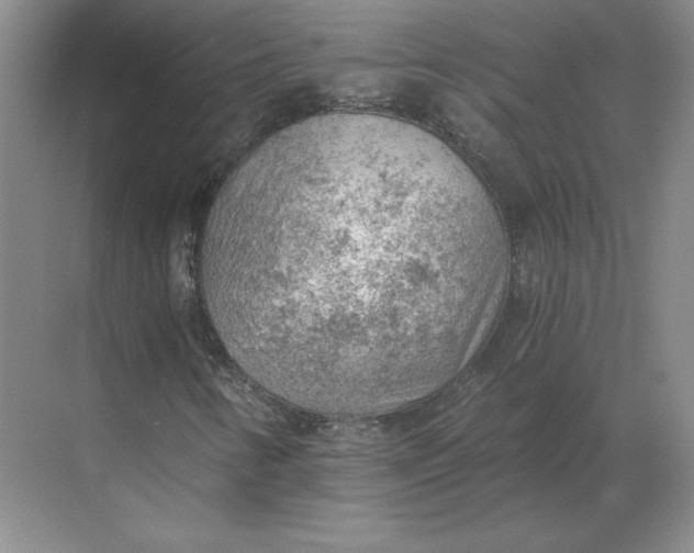 X0000068831346200605191848