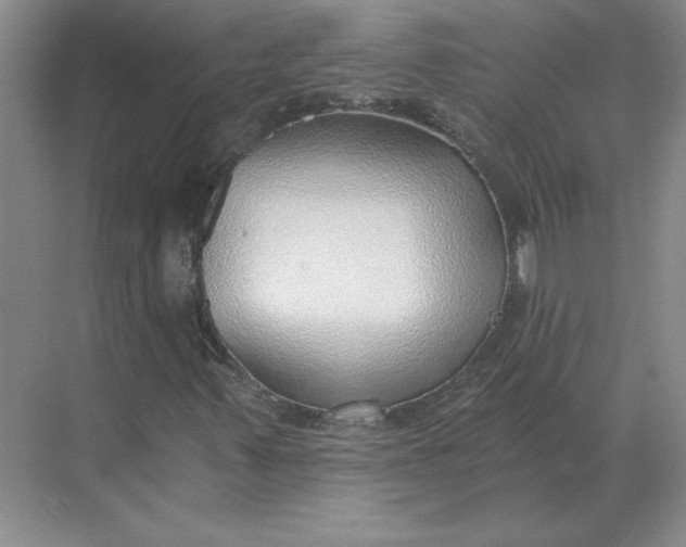 X0000068831347200605191848