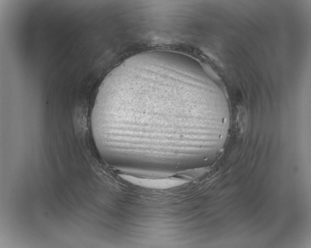 X0000068831348200605191848