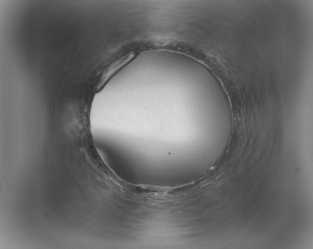 X0000068831349200605191848