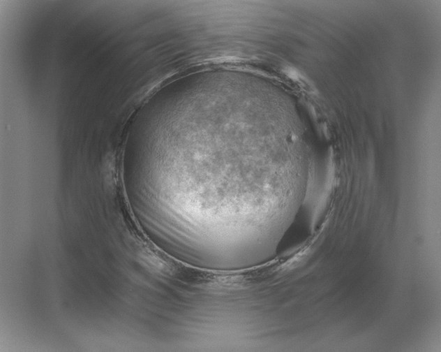 X0000068831353200605191848