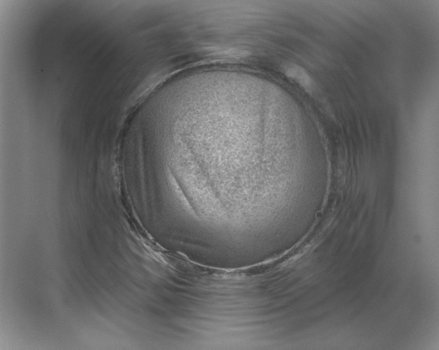 X0000068831354200605191848