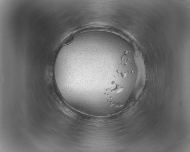 X0000068831355200605191848