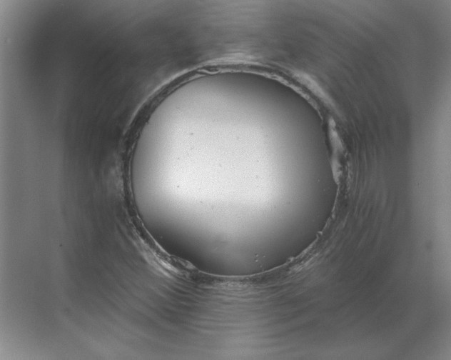 X0000068831356200605191848