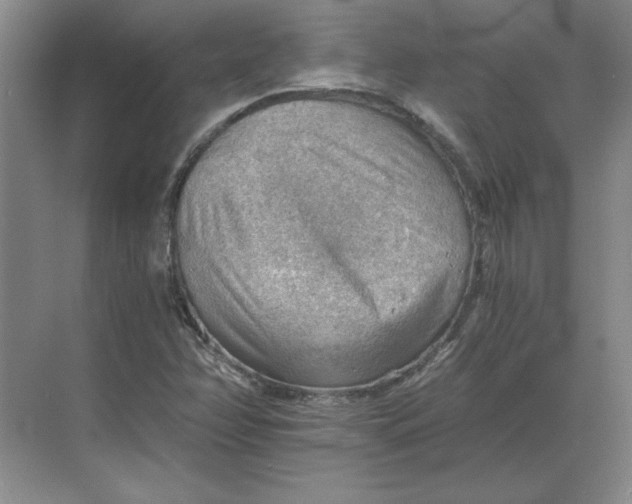 X0000068831358200605191848